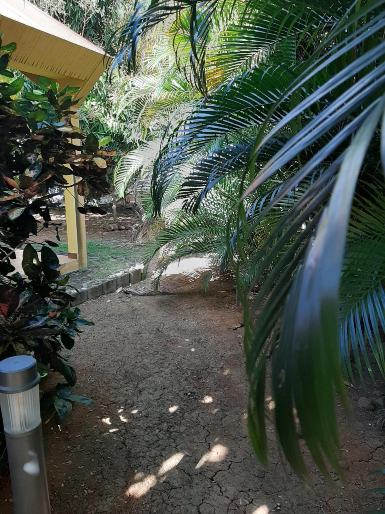 Residence De Vacances Mon Refuge - Bungalow De Type T3 Grande Anse Екстер'єр фото